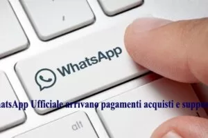 WhatsApp Ufficiale arrivano pagamenti acquisti e supporto