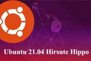 Ubuntu 21.04 Hirsute Hippo: Disponibile al Download