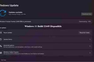 Windows 11 Build 22449 Disponibile con molti miglioramenti